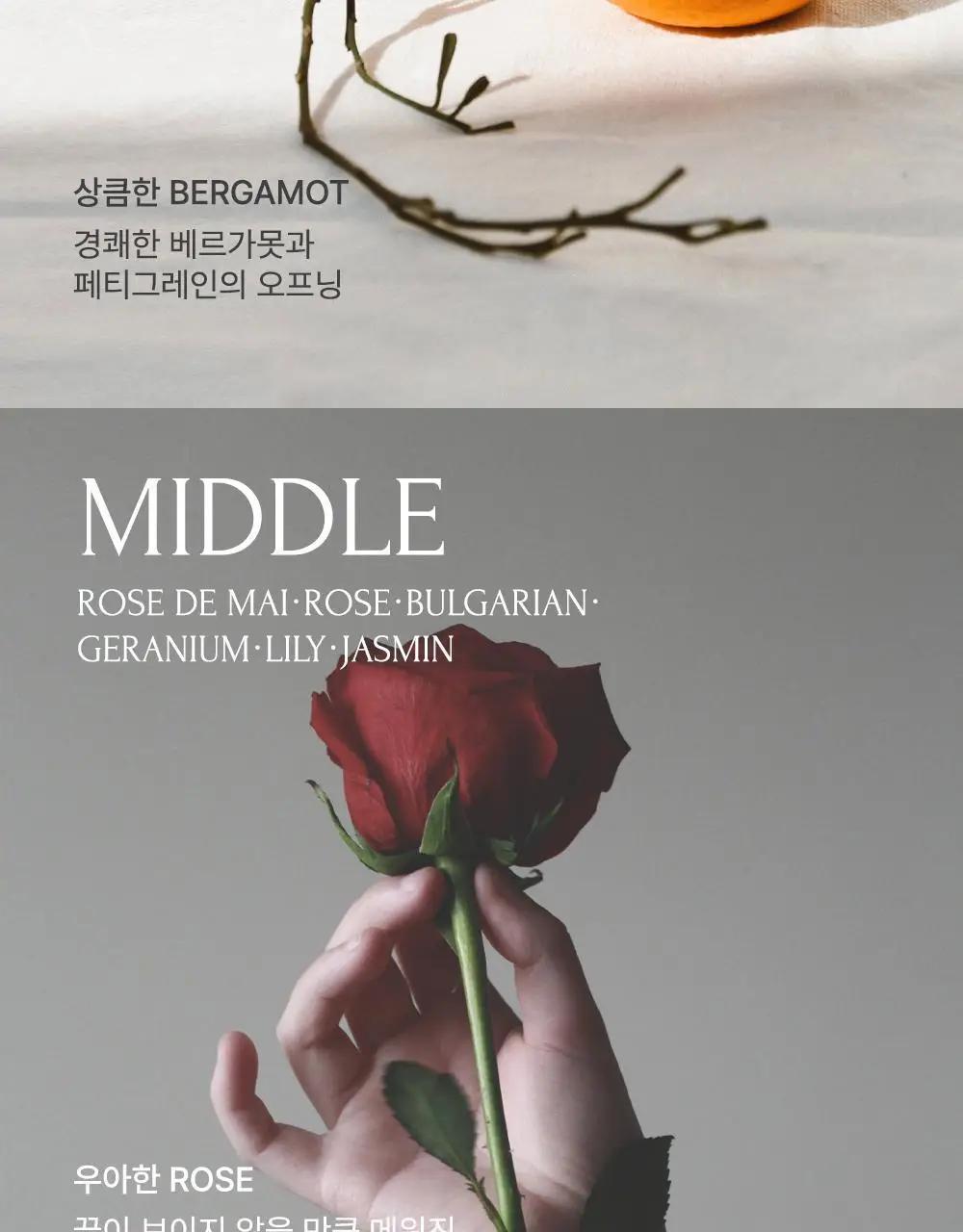[NEW] 라임유 로즈 머스크 고체향수 3g 상세페이지 5